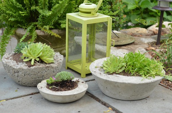 11705938_10152802838166899_826381568_o