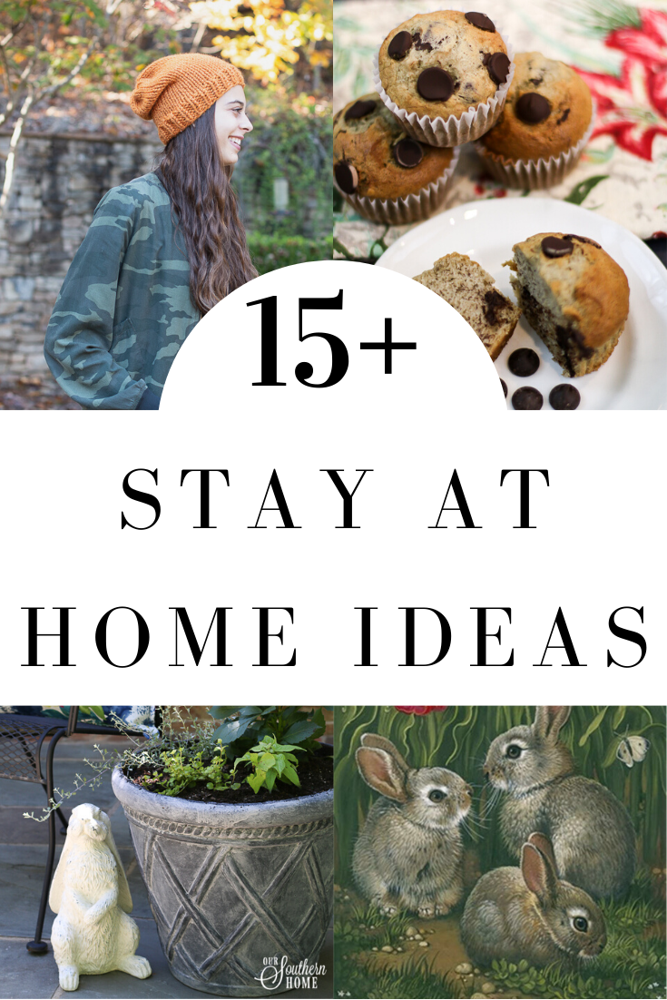 15+ Stay at Home Activities