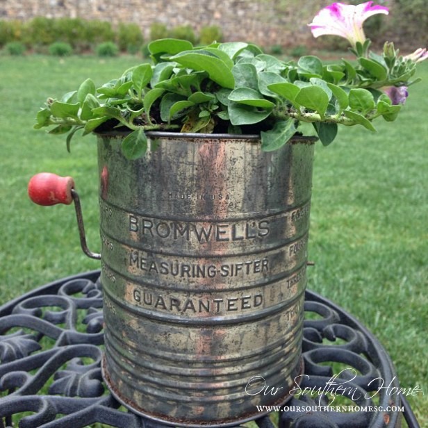 HGTV Gardens {Sifter Planter Photo Excitement}