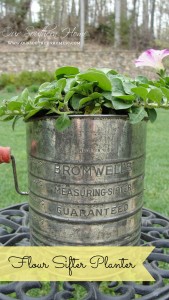 flour-sifter-planter