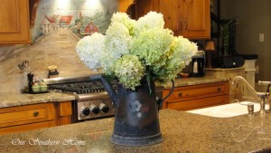kitchen-tour-details