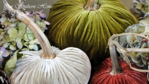VelvetPumpkinTrio