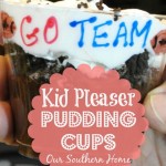 Easy Pudding Cup