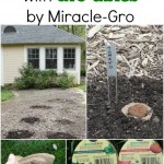 Gro-ables by Miracle-Gro via Our Southern Home