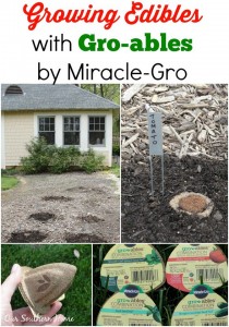 Gro-ables by Miracle-Gro via Our Southern Home