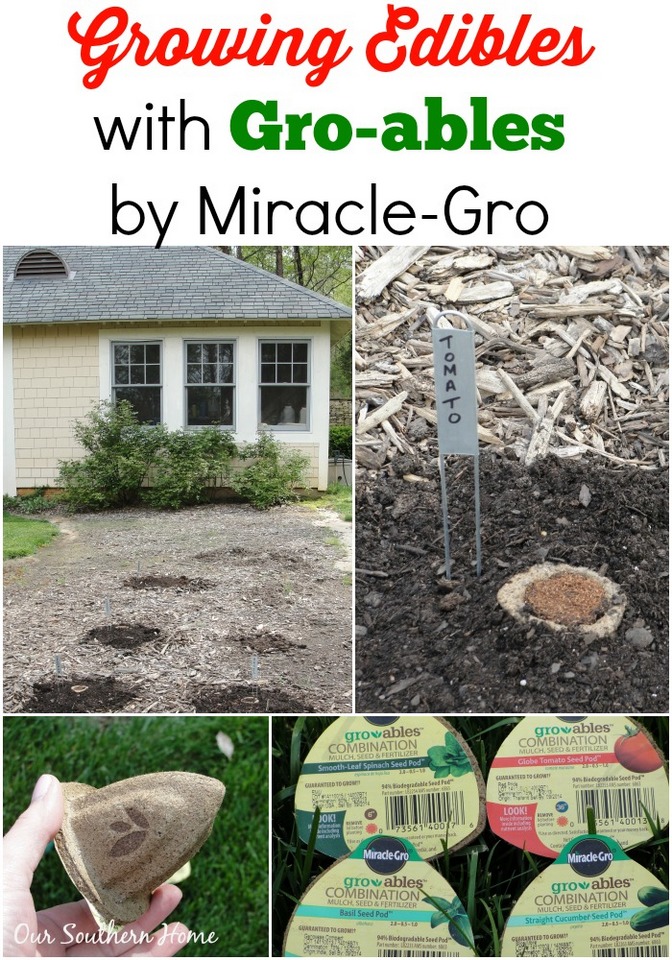 Gro-ables by Miracle-Gro via Our Southern Home