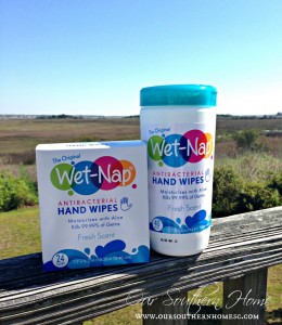 Simple at home picnic with Wet Nap for Walmart by Our Southern Home #AD #PMedia #ShowUsYourMess