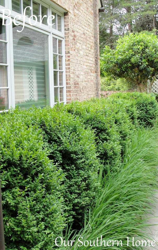 Ryobi Outdoors 40-V Lithium Hedge Trimmer via Our Southern Home #RyobiOutdoors