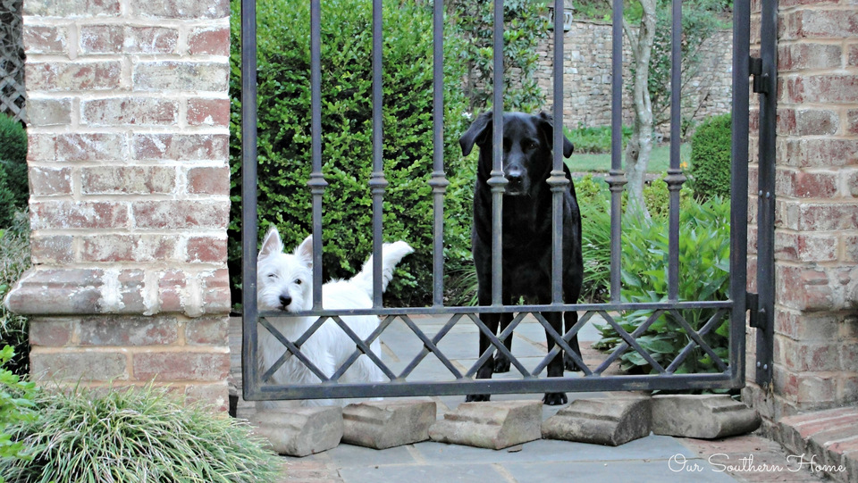 Summer on the screened porch with Our Southern Home #summerathome #porch