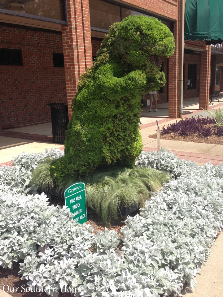 SC Festival of Flowers in Greenwood, SC via Our Southern Home #flowers