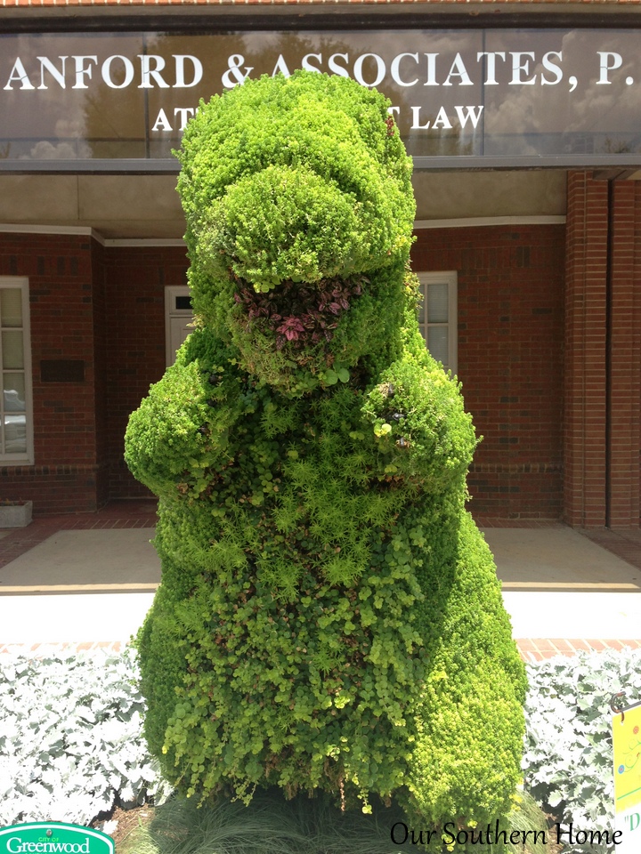 SC Festival of Flowers in Greenwood, SC via Our Southern Home #flowers