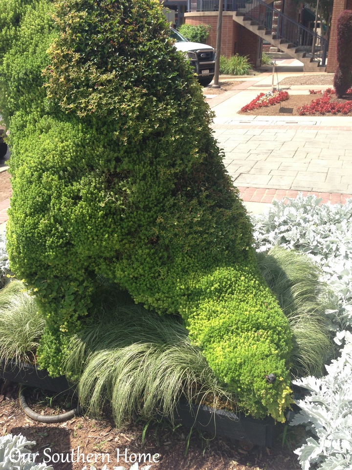 SC Festival of Flowers in Greenwood, SC via Our Southern Home #flowers