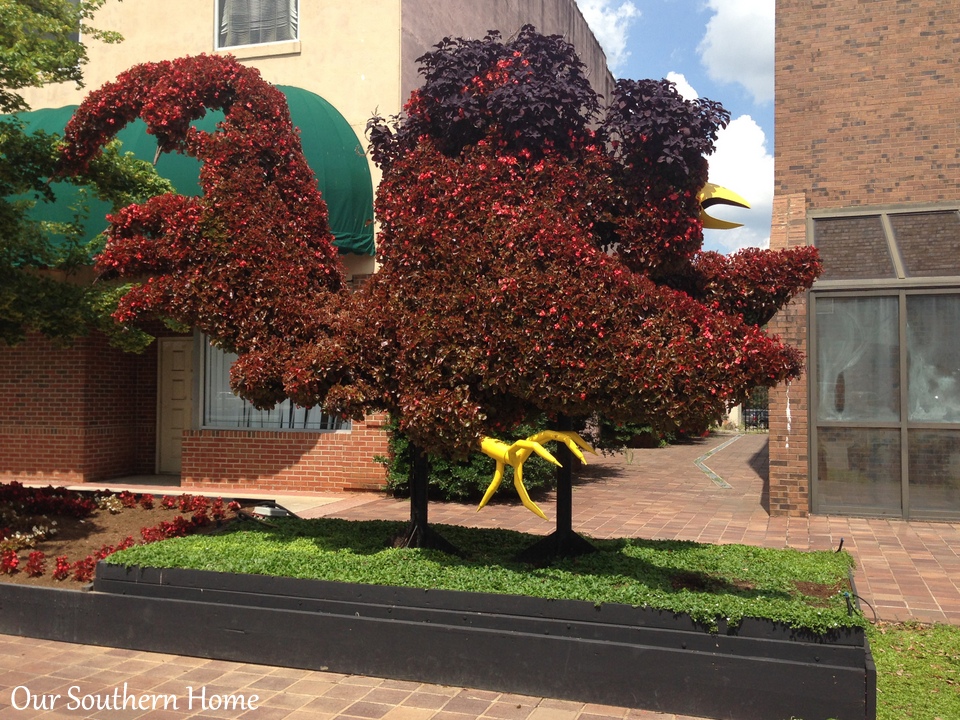 SC Festival of Flowers in Greenwood, SC via Our Southern Home #flowers