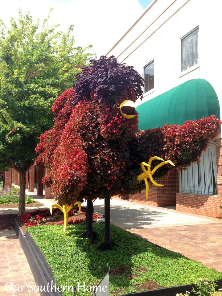 SC Festival of Flowers in Greenwood, SC via Our Southern Home #flowers