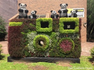 SC Festival of Flowers in Greenwood, SC via Our Southern Home #flowers