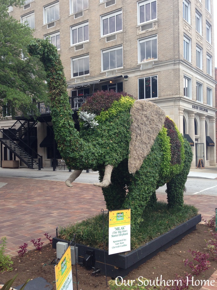 SC Festival of Flowers in Greenwood, SC via Our Southern Home #flowers