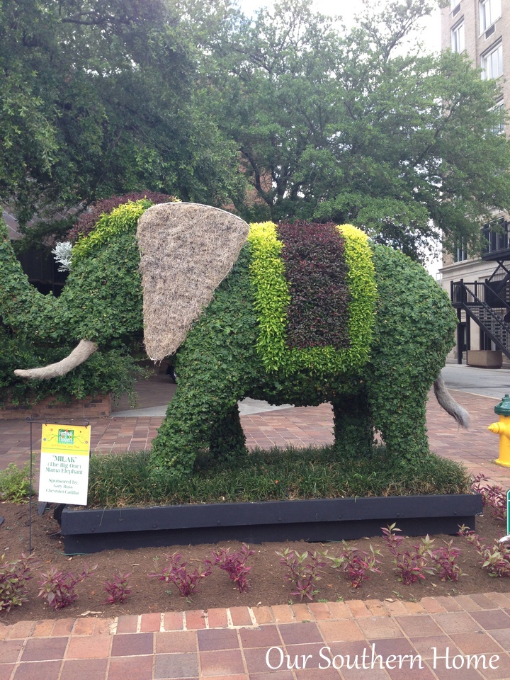 SC Festival of Flowers in Greenwood, SC via Our Southern Home #flowers