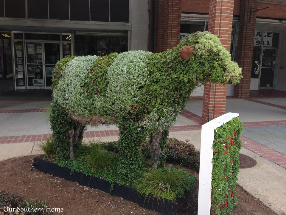 SC Festival of Flowers in Greenwood, SC via Our Southern Home #flowers