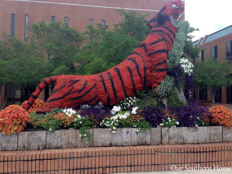 SC Festival of Flowers in Greenwood, SC via Our Southern Home #flowers