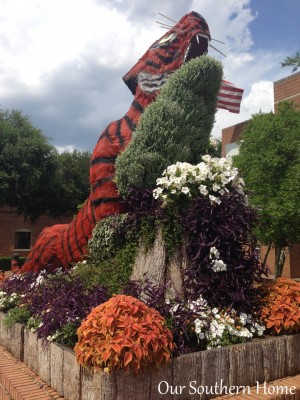 SC Festival of Flowers in Greenwood, SC via Our Southern Home #flowers