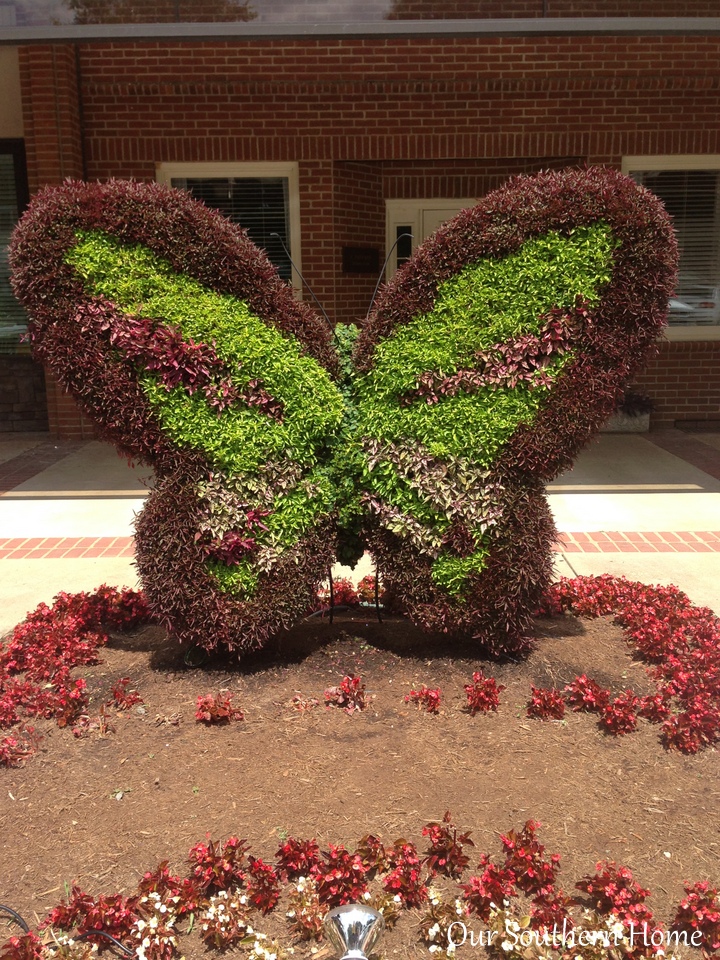 SC Festival of Flowers in Greenwood, SC via Our Southern Home #flowers