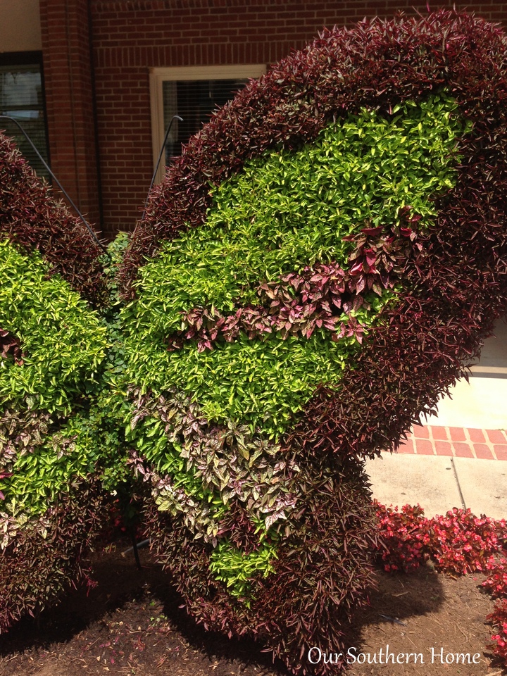 SC Festival of Flowers in Greenwood, SC via Our Southern Home #flowers