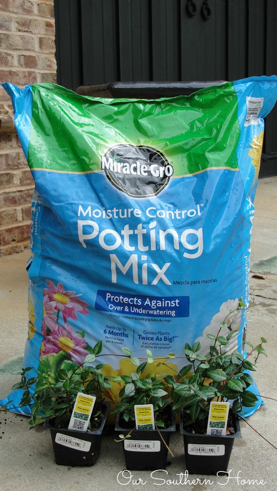 potting soil