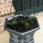 Fall clean up and DIY paint finish for concrete planter via Our Southern Home