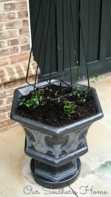 Fall clean up and DIY paint finish for concrete planter via Our Southern Home