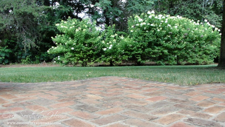 Ryobi 40V Lithium-Ion String Trimmer review via Our Southern Home