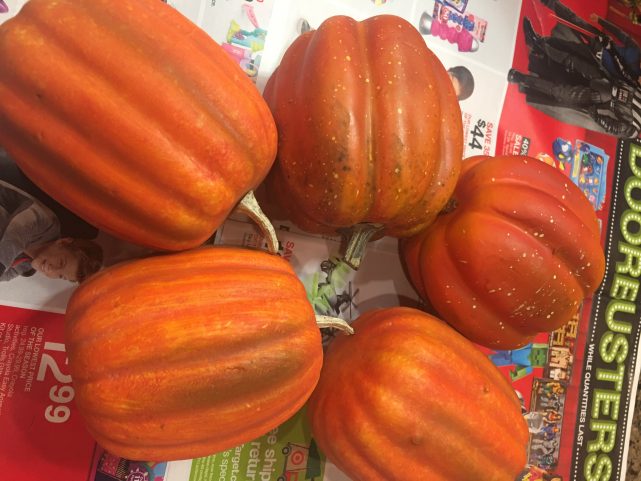 Make over old faded thrift store faux pumpkins with paint for a fresh new look!