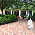 Summer home tour of this Southern French Farmhouse with loads of classic charm. #summertour #frenchfarmhouse #porch #farmhouse