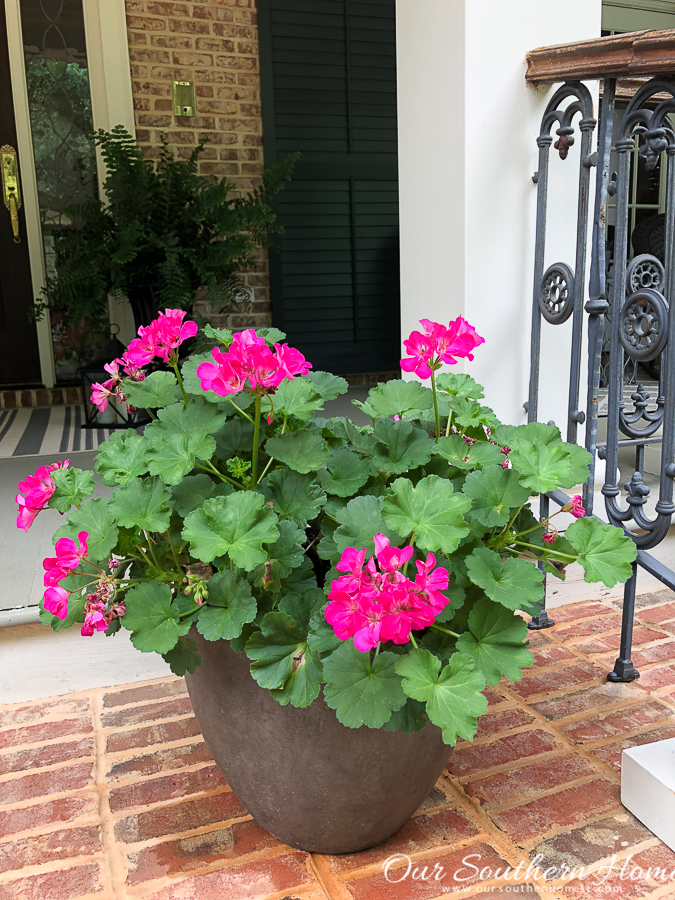 Summer home tour of this Southern French Farmhouse with loads of classic charm. #summertour #frenchfarmhouse #porch #farmhouse