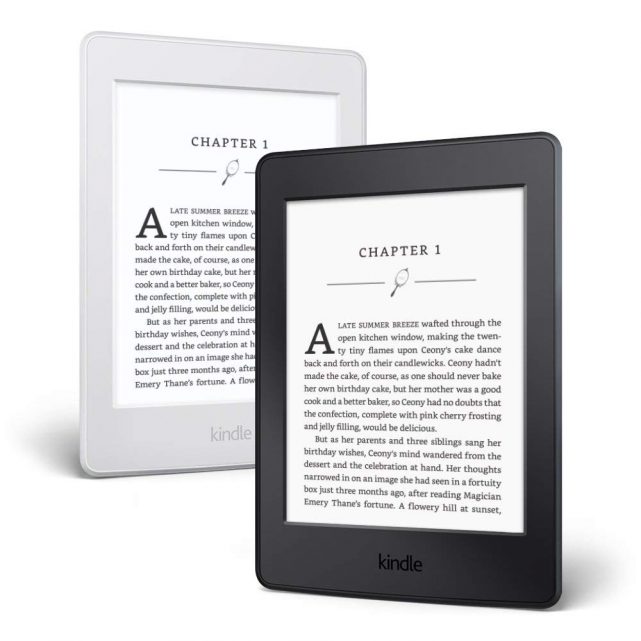 I adore my Kindle! This version is small with a built in light and feels great in your hand!!!