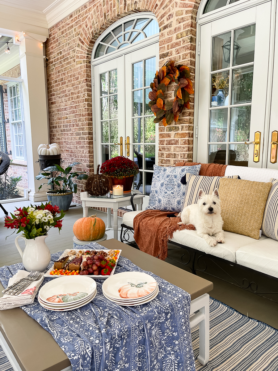 dog sitting on a couch decorated for fall