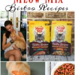 Meow Mix Bistro from Walmart is the perfect way to show your cat that your love him via Our Southern Home #ad #cats