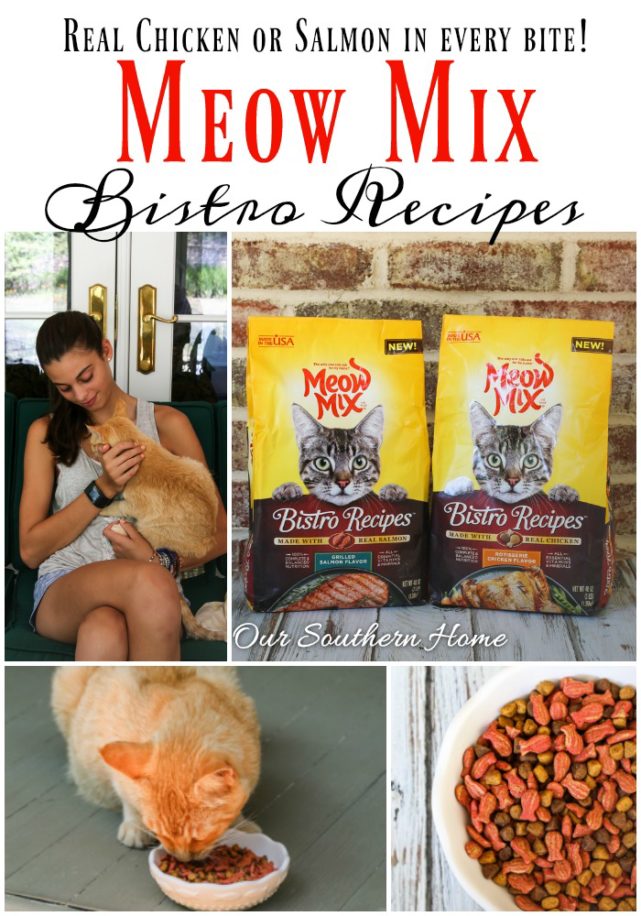 Meow Mix Bistro from Walmart is the perfect way to show your cat that your love him via Our Southern Home #ad #cats