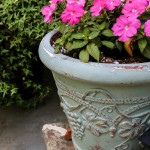 Container gardening ideas from Our Southern Home