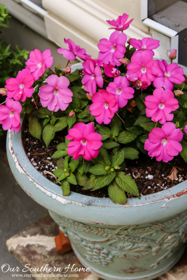 Container gardening ideas from Our Southern Home