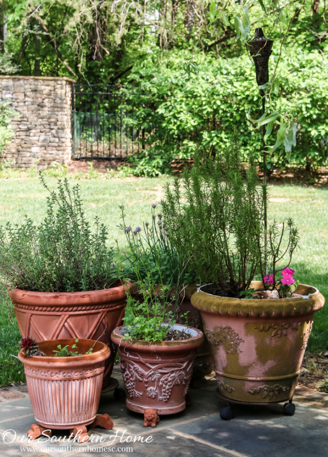 Container gardening ideas from Our Southern Home