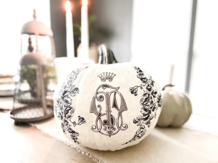 Image for DIY Painted Pumpkin Ideas (with decoupage)