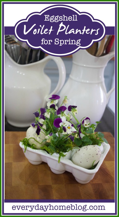 Eggshell-Violet-Planters-The-Everyday-Home-Blog-www.everydayhomeblog.com_