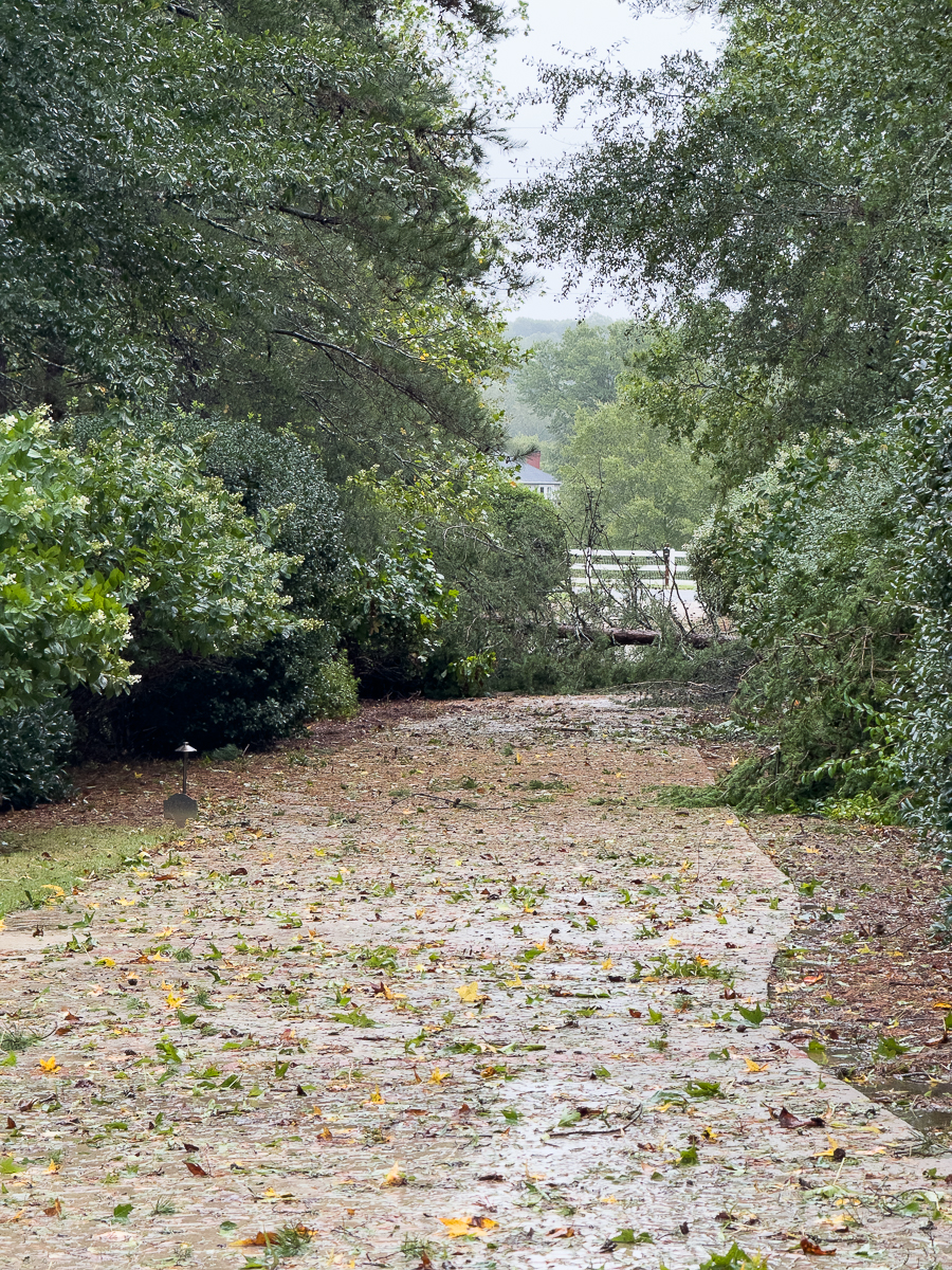driveway debris
