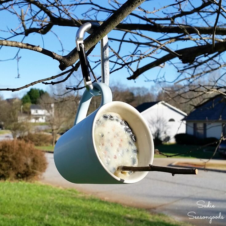 Image for Suet Feeder in a Coffee Mug