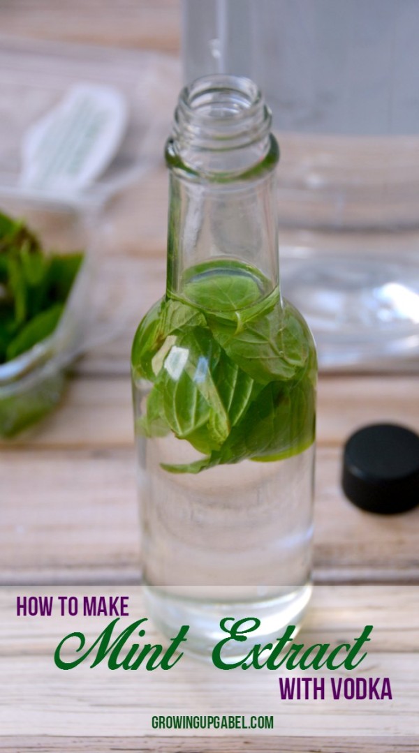 InsMonEasy-Mint-Extract-Recipe