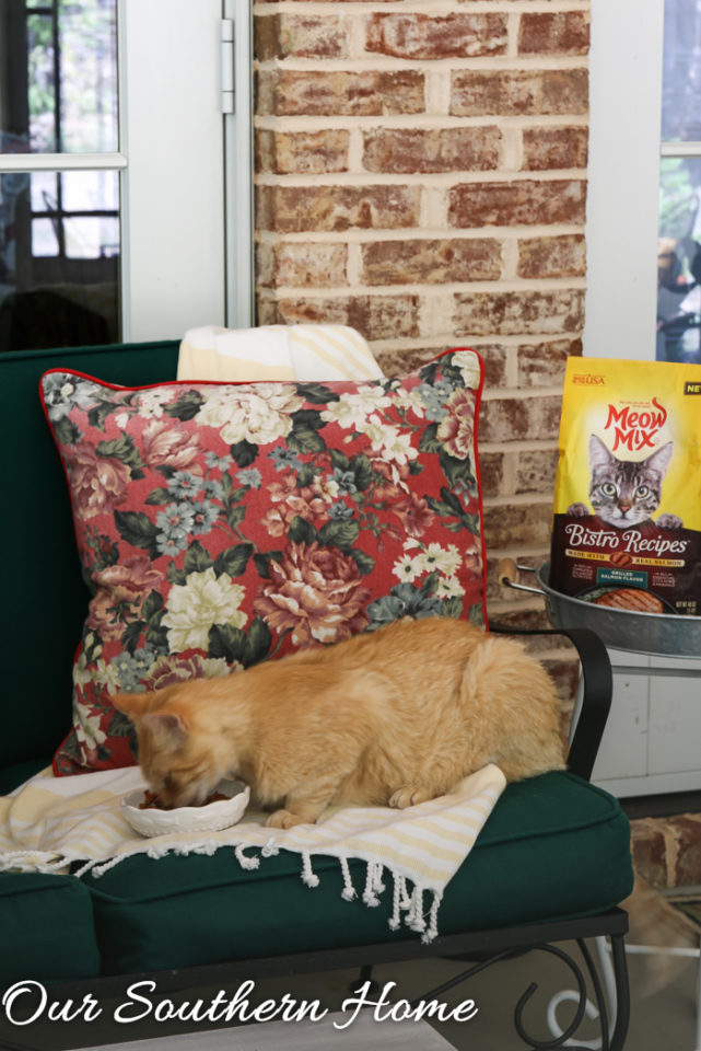 Meow Mix Bistro from Walmart is the perfect way to show your cat that your love him via Our Southern Home #ad #cats