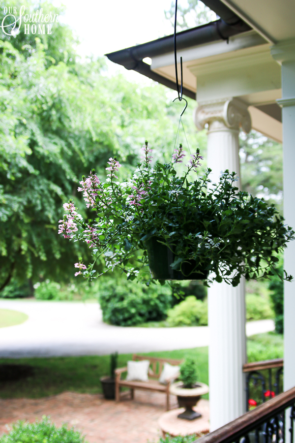 Ideas for southern outdoor living! Welcome to this large front porch and backyard terrace area.