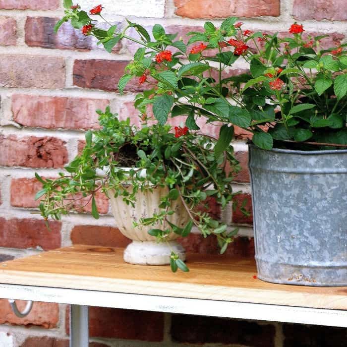 Image for How To Make A Reclaimed Wood Plant Stand