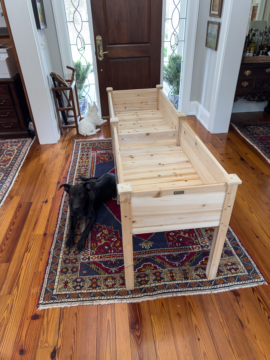 raised bed