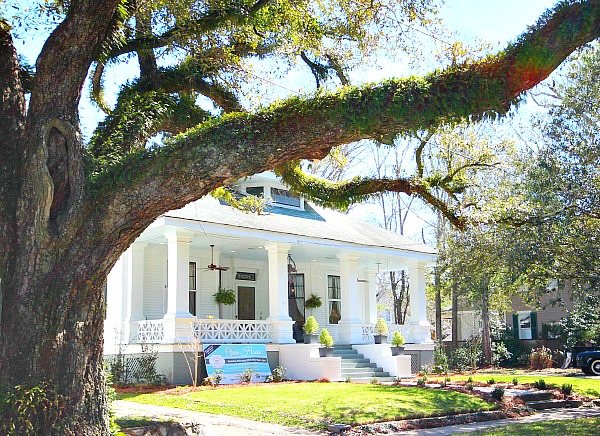 Southern Romance Home - Old trees in Mobile Alabama at the Southern Romance home